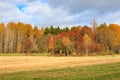 Landscape field trees autumn colors