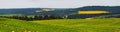 Landscape with fields of corn, sunflowers overlooking a green forest. Cherkasy region, Ukraine Royalty Free Stock Photo