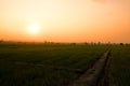 Landscape fields farm and sunlight in evening time Royalty Free Stock Photo
