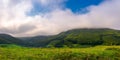 Landscape with fields and forest on hillside Royalty Free Stock Photo