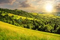 landscape with fields and forest on hillside at sunset Royalty Free Stock Photo