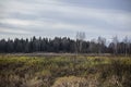 Landscape fields and forests. Beautiful landscape of the autumn forest. Royalty Free Stock Photo