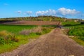 Landscape of fields at Hanadiv valley Israel Royalty Free Stock Photo