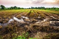 Landscape of fields harvested at evening time Royalty Free Stock Photo