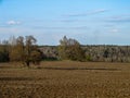 The landscape in the fields of the Kaluga region in Russia. Royalty Free Stock Photo