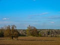 The landscape in the fields of the Kaluga region in Russia. Royalty Free Stock Photo