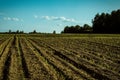 The landscape in the fields of the Kaluga region in Russia. Royalty Free Stock Photo