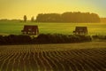 The landscape in the fields of the Kaluga region in Russia. Royalty Free Stock Photo