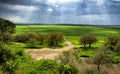 Landscape of the fields of Kibbutz Kfar Glikson Israel Royalty Free Stock Photo