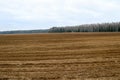 Landscape fields, lands with beds, furrows for plowing with crops on the background of the forest Royalty Free Stock Photo