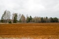 Landscape fields, lands with beds, furrows for plowing with crops on the background of the forest Royalty Free Stock Photo