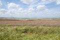 Fields in Valley of Jezreel