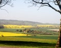 Landscape fields