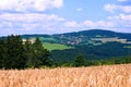 Landscape with fields, woods and village