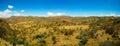 Landscape of Filfil national park with Euphorbia candelabrum succulent plants , Eritrea Royalty Free Stock Photo