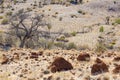 Landscape. Flinders Ranges. South Australia Royalty Free Stock Photo