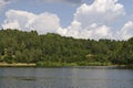 Landscape with floating island, part peat two metre deep with vegetation and animals in Vlasina mountain lake, anchored to shore