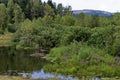 Landscape with floating island, part peat two metre deep with vegetation and animals in Vlasina mountain lake, anchored to shore