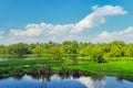 Landscape with flood waters of Narew river, Poland Royalty Free Stock Photo
