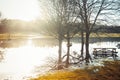 The Landscape Of Flooded Community Picnic And Rest Area With Trees, Their Reflection, And Tables In Back Sunset Light. Beauty And