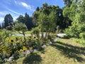 Landscape of The Flower Island Mainau on the Lake Constance or Landschaft der Blumeninsel im Bodensee - Constance, Germany