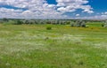 Landscape with flowering meadow near village Zeleny Guy on the Sura river