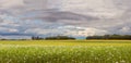 landscape with poppy field, cloudy sky Royalty Free Stock Photo