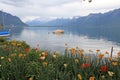 Landscape with flowers and Lake Geneva, Montreux, Switzerland. Royalty Free Stock Photo