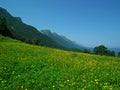 Green meadows on top of Hyrcanian forest, Northern Alborz Mountains, Iran