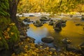 Landscape of flowing creek with slow shutter Royalty Free Stock Photo