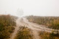 Landscape with fog.