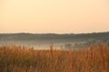 Landscape with fog.