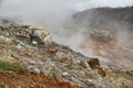 landscape with fog , image taken in Follonica, grosseto, tuscany, italy , larderello desert