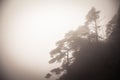 Landscape of fog mountains of china