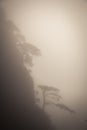 Landscape of fog mountains of china