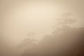 Landscape of fog mountains of china Royalty Free Stock Photo