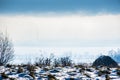 Landscape between fog and snow Royalty Free Stock Photo