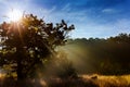 Landscape - Foggy morning in spring meadow. Sunrise in river valley. Royalty Free Stock Photo