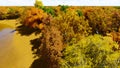 Landscape forest autum 3D render Royalty Free Stock Photo