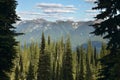 Landscape with forest in British Columbia. Mount Revelstoke. Can