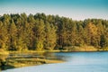 Landscape With Forest On Coast Of Lake, Pond Or River At Summer Royalty Free Stock Photo