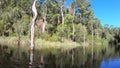 Landscape of forest and lake in Western Australia