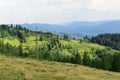 Landscape forest and mountains wires of electric mount in perspe