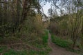 Landscape forest path spring road to the forest Royalty Free Stock Photo