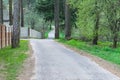 Landscape forest path spring road to the forest Royalty Free Stock Photo