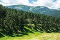 Landscape of the forest and Pyrenees mountains