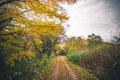 Landscape with a forest trail in the fall Royalty Free Stock Photo