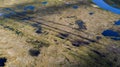 Landscape of the forest-tundra, aerial view, traces of caterpillar equipment on the surface of tundra vegetation, nature