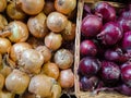 Red and white onions on display in baskets Royalty Free Stock Photo