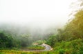 Landscape ,in the forrest , Morning fog ,  mountain road with a car in the forest Royalty Free Stock Photo